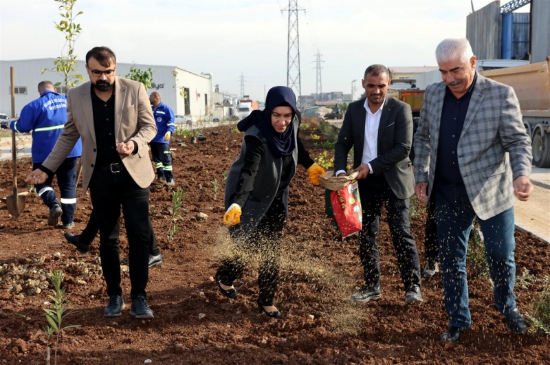  Akdeniz Yeni Bir Yeşil Alan Kazanıyor 